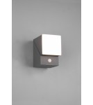 Outdoor lights with motion sensor - Trio AVON Outdoor Wall Mounted 1xLED max 7W 3000K Anthracite 270669142 - product 3