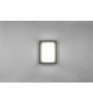 Outdoor wall lamps - Trio WITHAM Outdoor Wall LED 2300+3000+4000K Anthracite 277860142 - product 7