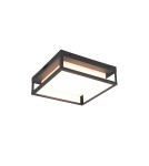 Outdoor ceiling lamps - Trio WITHAM Outdoor Ceiling 1xLED max 14W 2300+3000+4000K Anthracite 677860142 - product 1