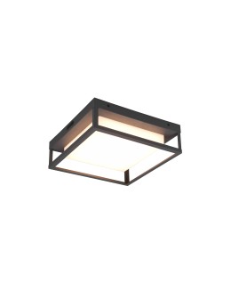 Trio WITHAM Outdoor Ceiling 1xLED max 14W 2300+3000+4000K Anthracite 677860142