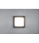 Outdoor ceiling lamps - Trio WITHAM Outdoor Ceiling 1xLED max 14W 2300+3000+4000K Anthracite 677860142 - product 2