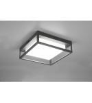 Outdoor ceiling lamps - Trio WITHAM Outdoor Ceiling 1xLED max 14W 2300+3000+4000K Anthracite 677860142 - product 6
