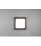 Outdoor ceiling lamps - Trio WITHAM Outdoor Ceiling 1xLED max 14W 2300+3000+4000K Anthracite 677860142 - product 7