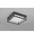 Outdoor ceiling lamps - Trio WITHAM Outdoor Ceiling 1xLED max 14W 2300+3000+4000K Anthracite 677860142 - product 9