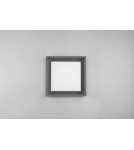 Outdoor ceiling lamps - Trio WITHAM Outdoor Ceiling 1xLED max 14W 2300+3000+4000K Anthracite 677860142 - product 10