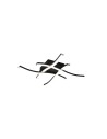 RL ROUTE Modern Ceiling 4xLED max 5W 4000K Black Mat R62474432