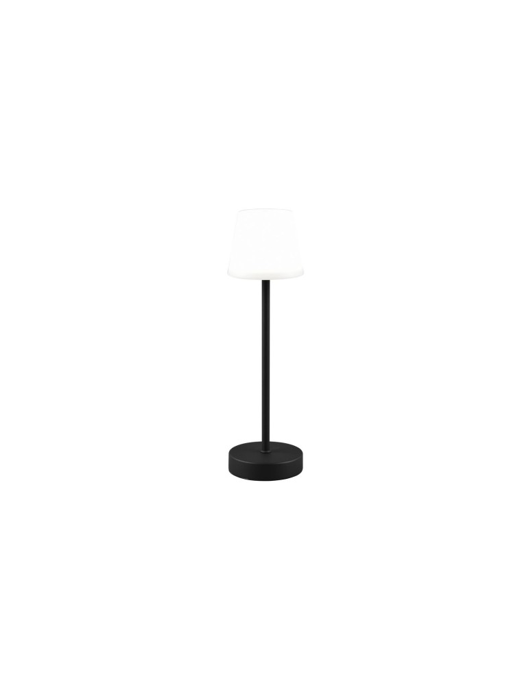 Portable garden lamps - RL MARTINEZ Outdoor Portable 1xLED max 2W 2700-6500K Black Mat R54086132 - product kolory-swiatla.pl 2