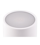 Portable garden lamps - RL FERNANDEZ Outdoor Portable 1xLED max 1W 2700+4000+6000K White Mat R54096131 - product 3