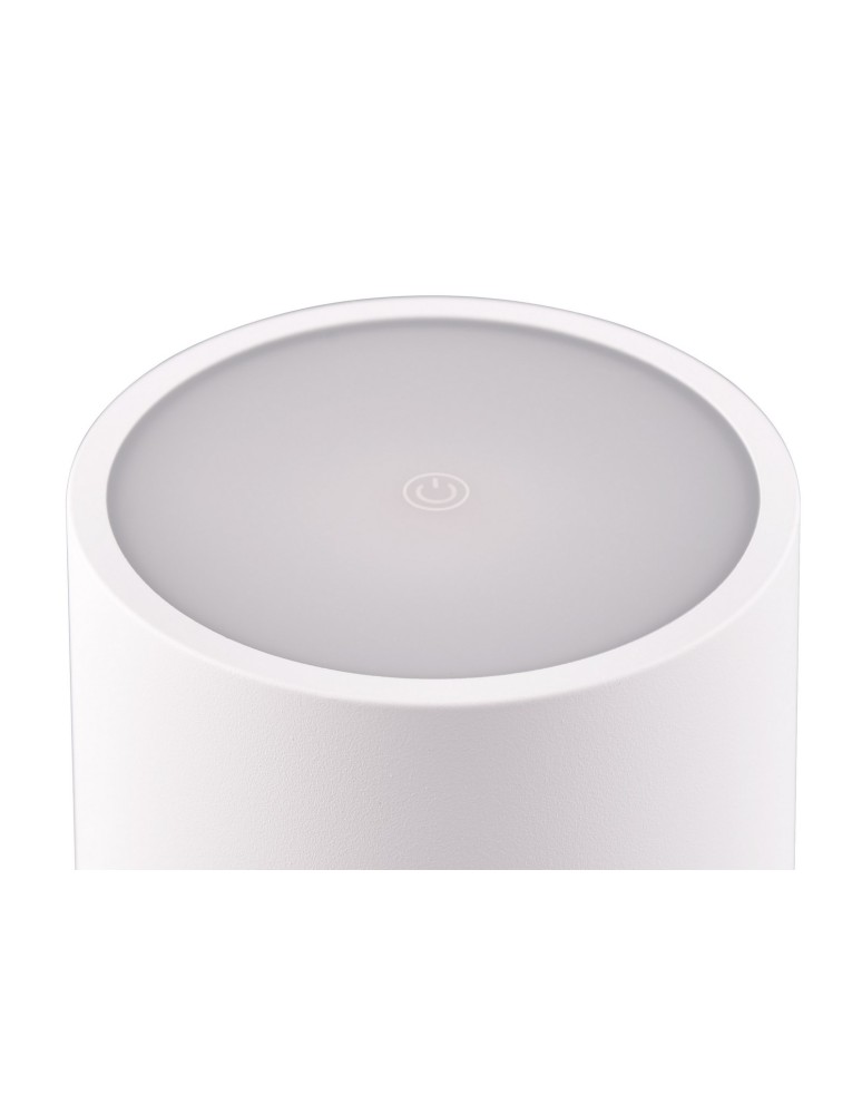 Portable garden lamps - RL FERNANDEZ Outdoor Portable 1xLED max 1W 2700+4000+6000K White Mat R54096131 - product kolory-swiatla.pl 3