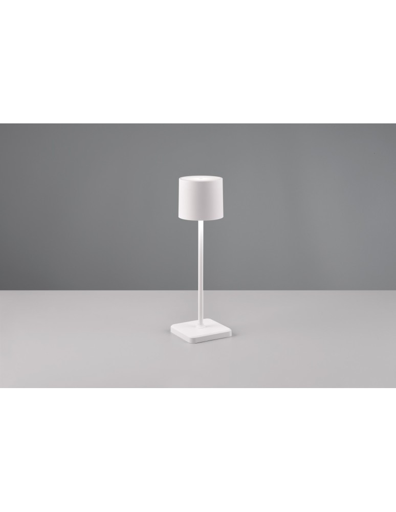 Portable garden lamps - RL FERNANDEZ Outdoor Portable 1xLED max 1W 2700+4000+6000K White Mat R54096131 - product kolory-swiatla.pl 5