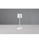 Portable garden lamps - RL FERNANDEZ Outdoor Portable 1xLED max 1W 2700+4000+6000K White Mat R54096131 - product 6