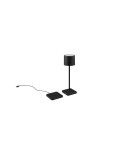 Portable garden lamps - RL FERNANDEZ Outdoor Portable 1xLED max 1W 2700+4000+6000K Black Mat R54096132 - product 1