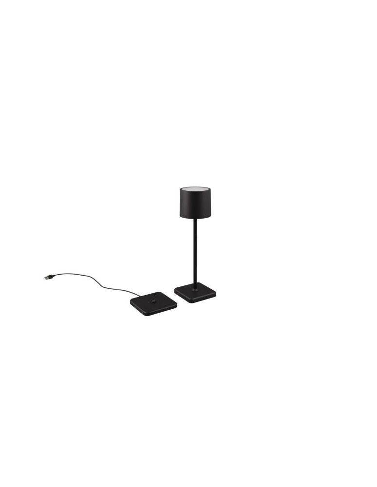 Portable garden lamps - RL FERNANDEZ Outdoor Portable 1xLED max 1W 2700+4000+6000K Black Mat R54096132 - product kolory-swiatla.pl 1