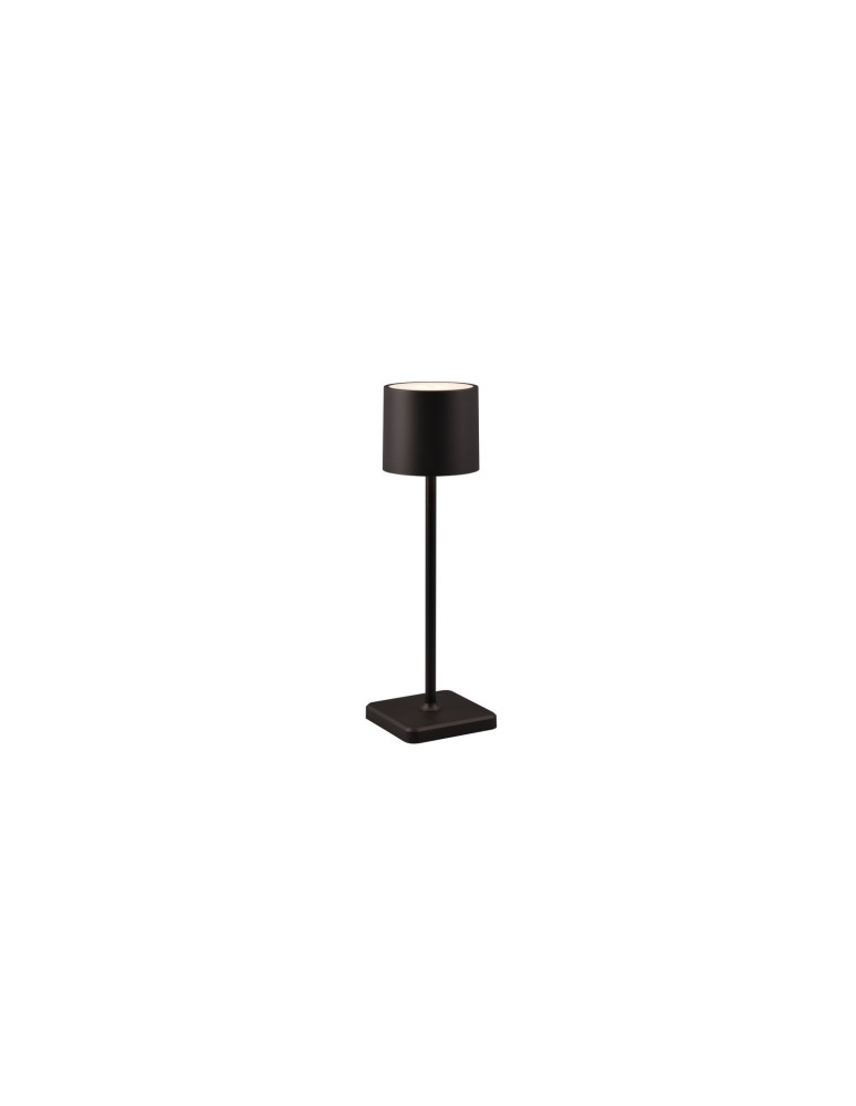 Portable garden lamps - RL FERNANDEZ Outdoor Portable 1xLED max 1W 2700+4000+6000K Black Mat R54096132 - product kolory-swiatla.pl 2