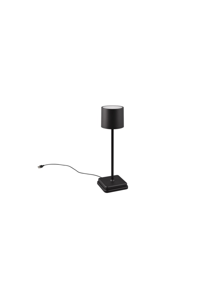 Portable garden lamps - RL FERNANDEZ Outdoor Portable 1xLED max 1W 2700+4000+6000K Black Mat R54096132 - product kolory-swiatla.pl 4