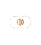 LED ceiling lamps - RL GIRO Ceiling Modern 1xLED max 25W 2700-6000K Woodgrain R62783635 - product 3