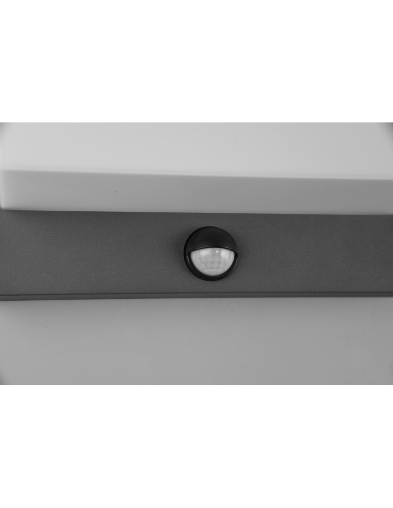 Outdoor lights with motion sensor - Trio NESTOS Motion Sensor Outdoor Wall Mounted 1xLED max 13W 3000K Anthracite 240969142 - product kolory-swiatla.pl 5