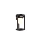 Solar lamps - Trio CARMO Outdoor Wall Mounted 1xLED max 2W 3000K Black Matte 241069132 - product 1