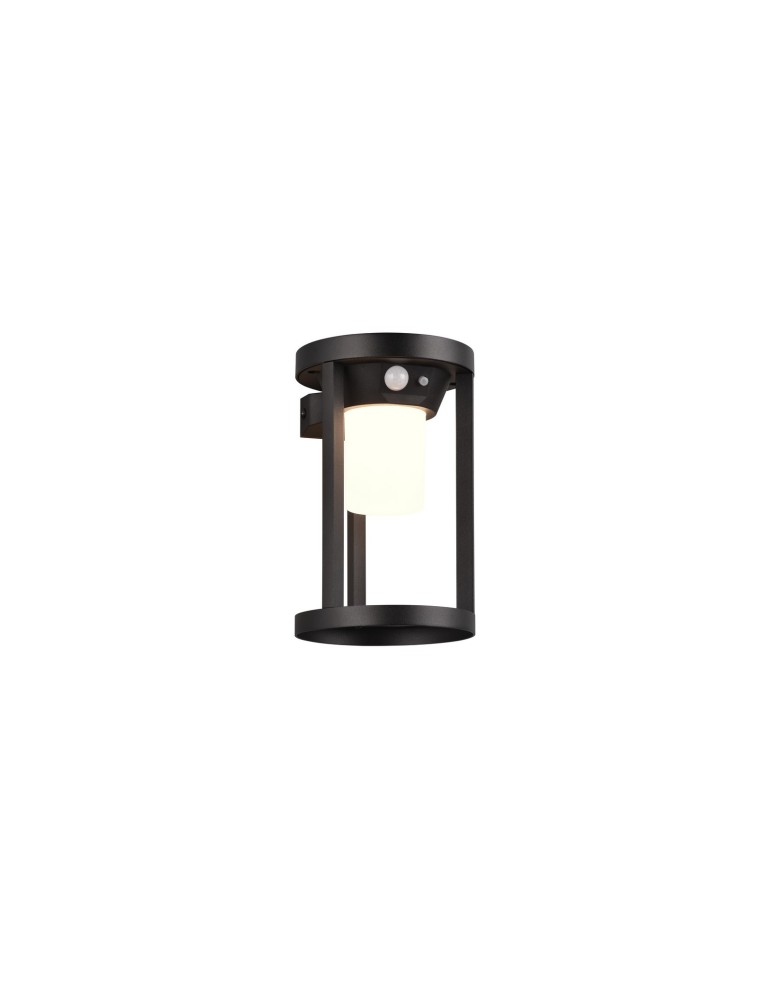 Solar lamps - Trio CARMO Outdoor Wall Mounted 1xLED max 2W 3000K Black Matte 241069132 - product kolory-swiatla.pl 1