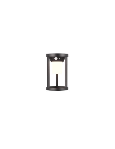 Trio CARMO Outdoor Wall Mounted 1xLED max 2W 3000K Black Matte 241069132 - product 2