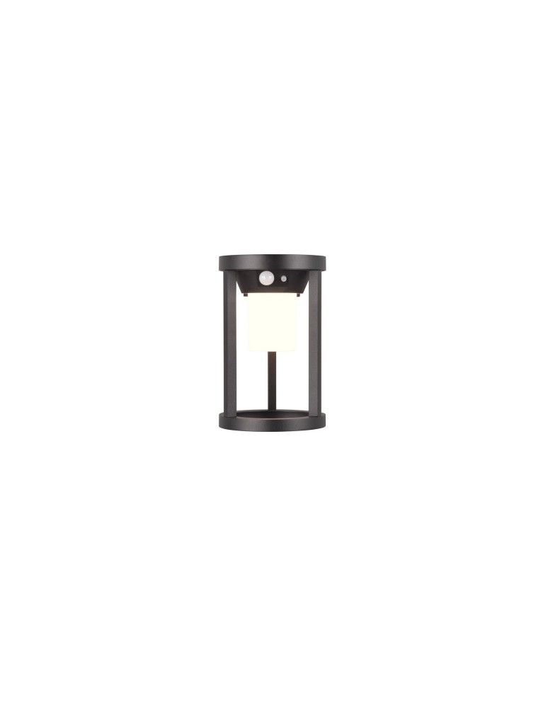 Solar lamps - Trio CARMO Outdoor Wall Mounted 1xLED max 2W 3000K Black Matte 241069132 - product kolory-swiatla.pl 2