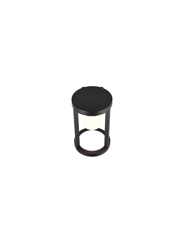 Solar lamps - Trio CARMO Outdoor Wall Mounted 1xLED max 2W 3000K Black Matte 241069132 - product kolory-swiatla.pl 3