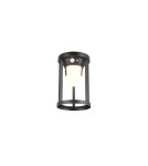 Solar lamps - Trio CARMO Outdoor Wall Mounted 1xLED max 2W 3000K Black Matte 241069132 - product 4