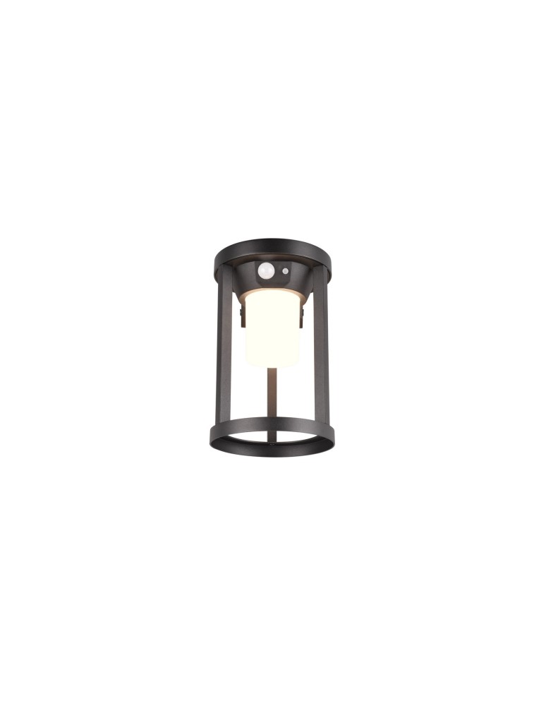Solar lamps - Trio CARMO Outdoor Wall Mounted 1xLED max 2W 3000K Black Matte 241069132 - product kolory-swiatla.pl 4