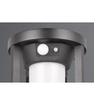 Solar lamps - Trio CARMO Outdoor Wall Mounted 1xLED max 2W 3000K Black Matte 241069132 - product 5