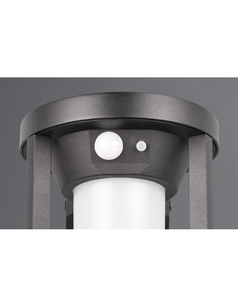 Solar lamps - Trio CARMO Outdoor Wall Mounted 1xLED max 2W 3000K Black Matte 241069132 - product kolory-swiatla.pl 5