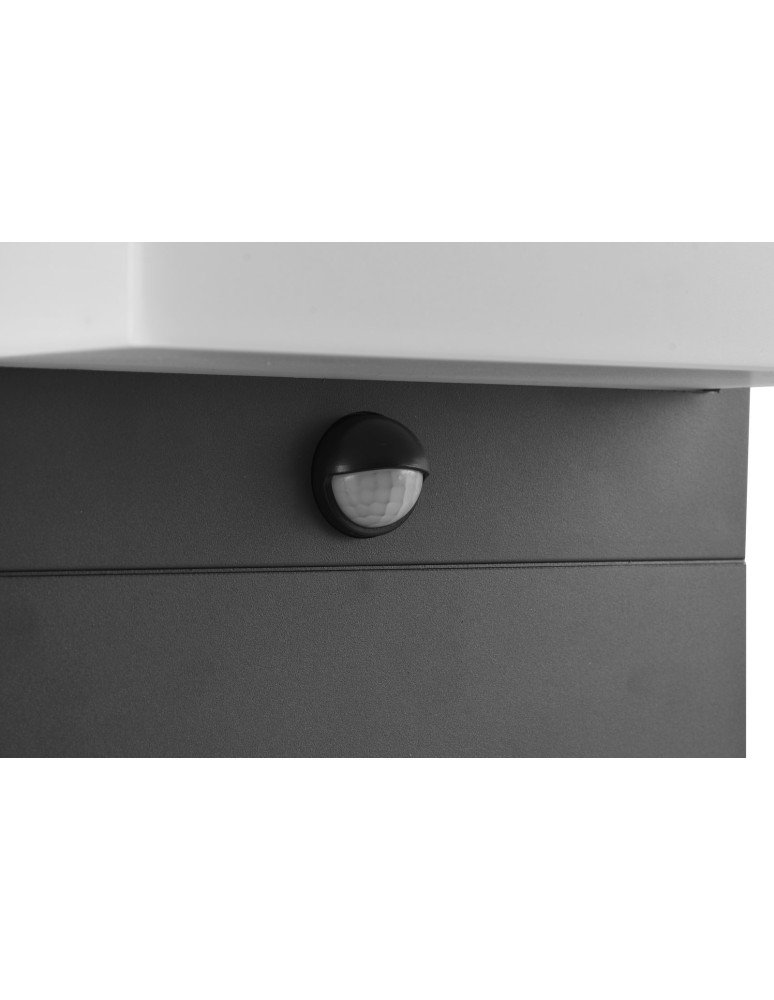 Outdoor lights with motion sensor - Trio NESTOS Motion Sensor Outdoor Standing 1xLED max 13W 3000K Anthracite 540969142 - product kolory-swiatla.pl 3