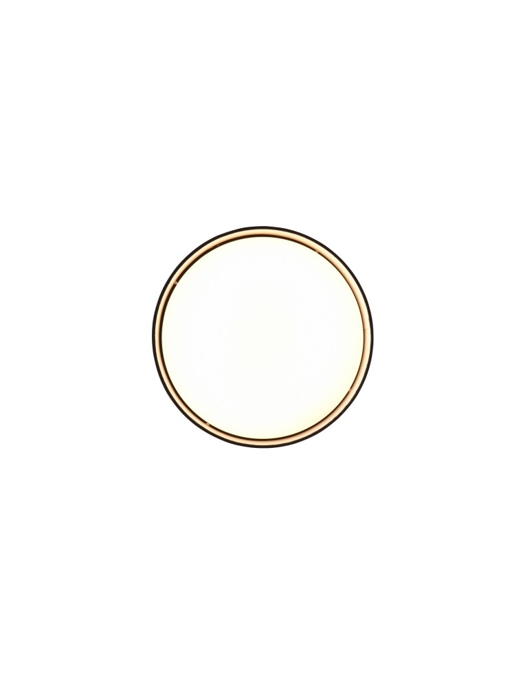LED ceiling lamps - RL LOCARNO Modern Ceiling 1xLED max 12W 3000K Black R64191102 - product kolory-swiatla.pl 3