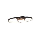 LED ceiling lamps - RL MALAGA Modern Ceiling 1xLED max 25W 3000K Black, White R64482134 - product 1