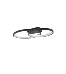 LED ceiling lamps - RL MALAGA Modern Ceiling 1xLED max 25W 3000K Black, White R64482134 - product 3