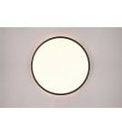 LED ceiling lamps - RL SCOTT Modern Ceiling 1xLED max 30W 3000-6500K Black Mat R64381032 - product 7