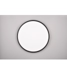 Lampy sufitowe LED - RL SCOTT Sufitowa Nowoczesna 1xLED max 30W 3000-6500K Czarny Mat R64381032 - produkt 10