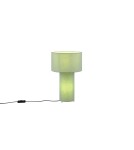 Nightlights - Trio BALE Table 2xE27 max 10W Pistachio Green 505200149 - product 1