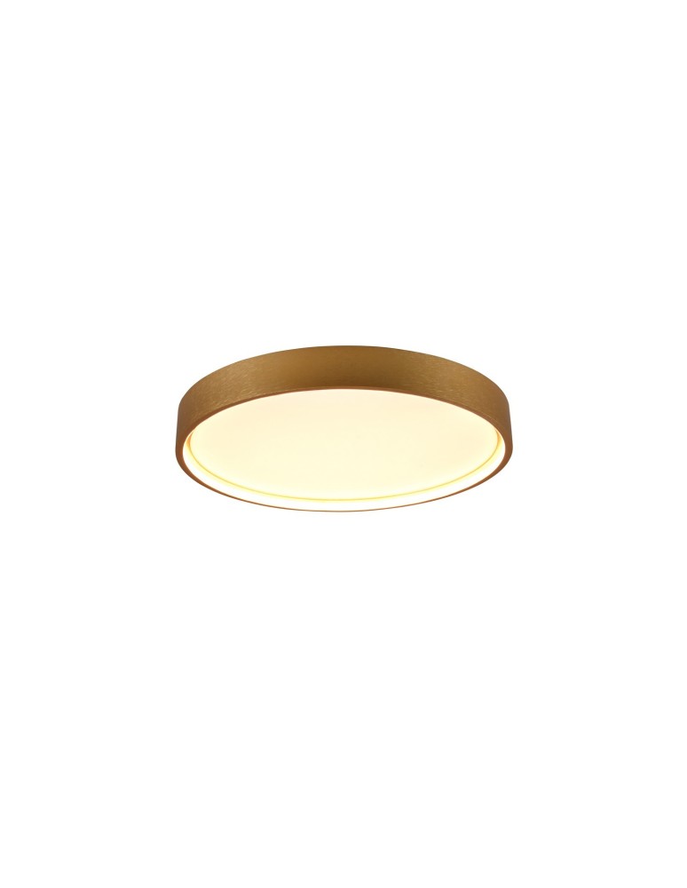 LED ceiling lamps - Trio DOHA Modern Ceiling 1xLED max 29W 2300+3000+4000K Brass Mat 641310208 - product kolory-swiatla.pl 1