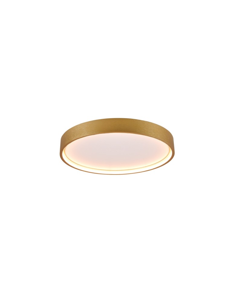 LED ceiling lamps - Trio DOHA Modern Ceiling 1xLED max 29W 2300+3000+4000K Brass Mat 641310208 - product kolory-swiatla.pl 2