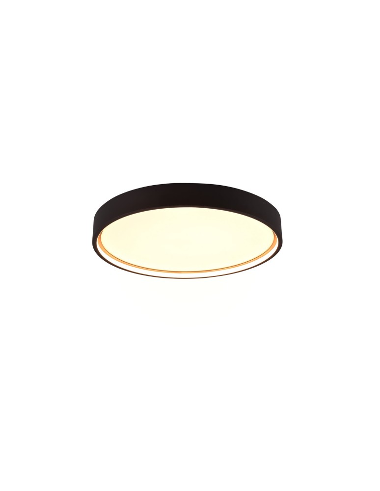 LED ceiling lamps - Trio DOHA Modern Ceiling 1xLED max 29W 2300+3000+4000K Black Mat 641310232 - product kolory-swiatla.pl 1