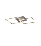 LED ceiling lamps - RL TRAIL Ceiling Modern 1xLED max 20W 3000K Titanium R64492187 - product 1
