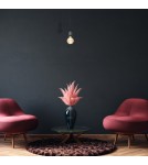 Pendant lamps bulbs - Milagro EDISON pendant lamp Black 1xE27 MLP6515 - product 6