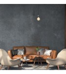 Pendant lamps bulbs - Milagro EDISON pendant lamp Black 1xE27 MLP6515 - product 8