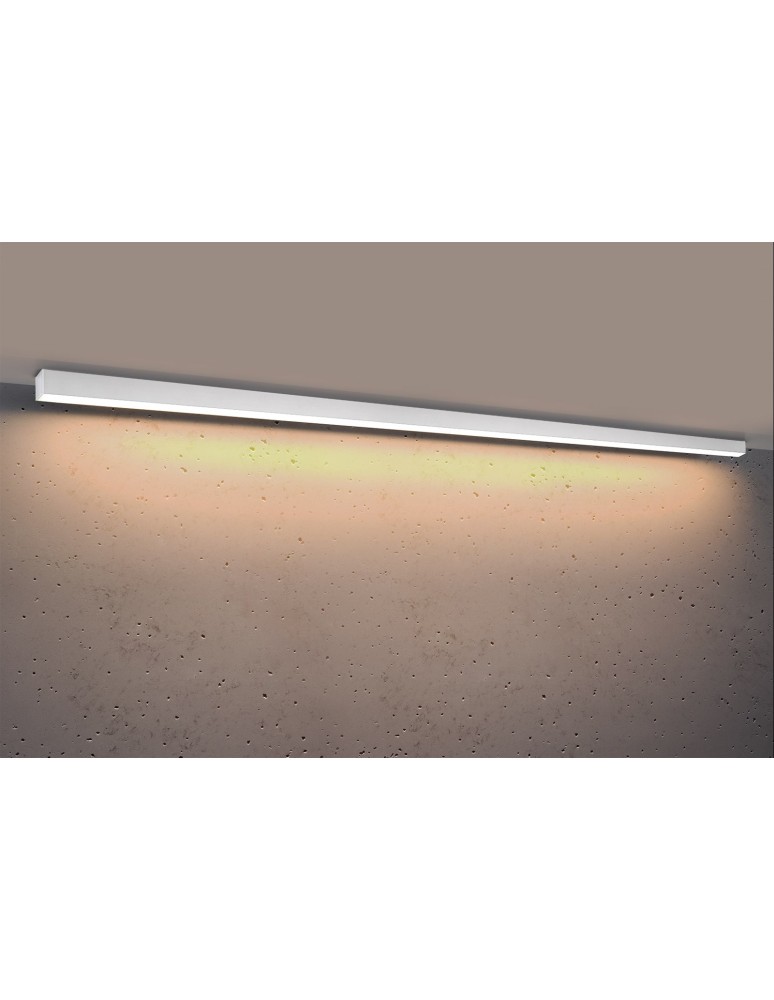 Surface-mounted beam lamps - Thoro Plafond PINNE 200 white 3000K TH.240 - product kolory-swiatla.pl 2