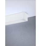 Surface-mounted beam lamps - Thoro Plafond PINNE 200 white 3000K TH.240 - product 4