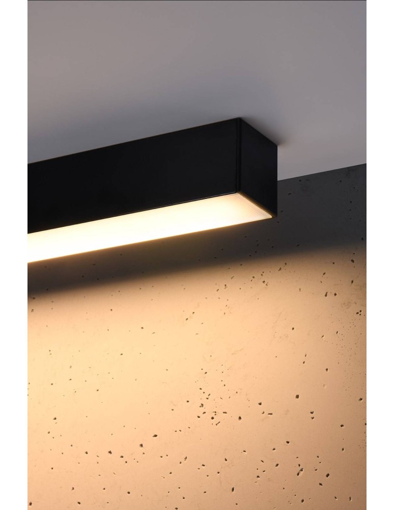 Surface-mounted beam lamps - Thoro Plafond PINNE 200 black 3000K TH.241 - product kolory-swiatla.pl 5