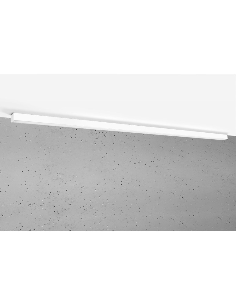 Surface-mounted beam lamps - Thoro Plafond PINNE 200 white 4000K TH.243 - product kolory-swiatla.pl 1