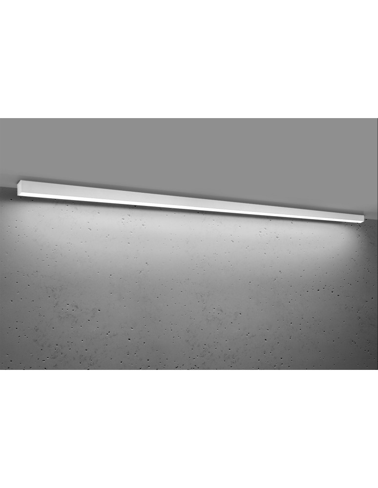 Surface-mounted beam lamps - Thoro Plafond PINNE 200 white 4000K TH.243 - product kolory-swiatla.pl 2
