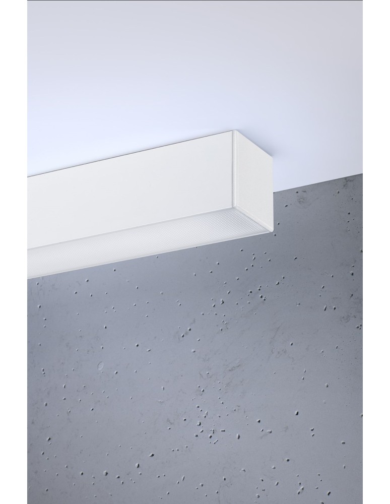 Surface-mounted beam lamps - Thoro Plafond PINNE 200 white 4000K TH.243 - product kolory-swiatla.pl 4