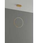 Pendant lamps circles - Thoro RIO 55 gold LED 3000K pendant lamp TH.220 - product 2